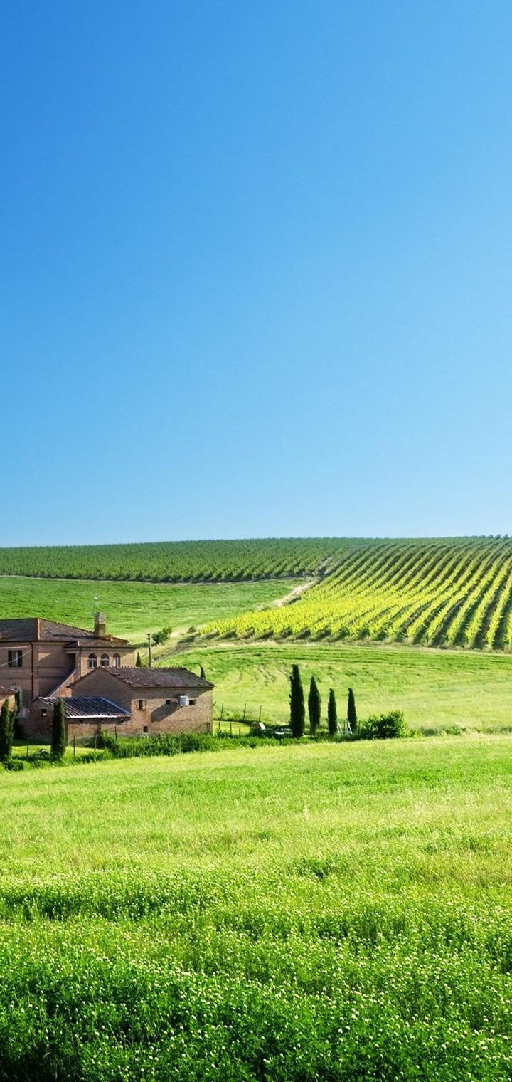 Agricultural Value Chains MASTERCLASS