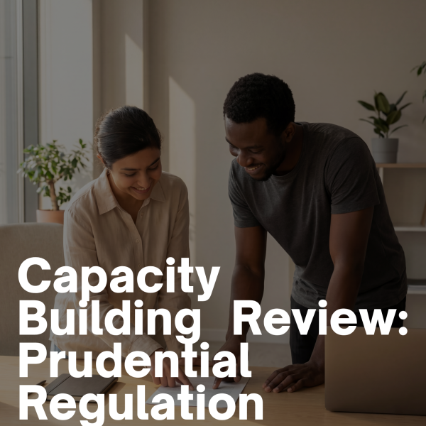 Capacity Building Review: Prudential Regulation