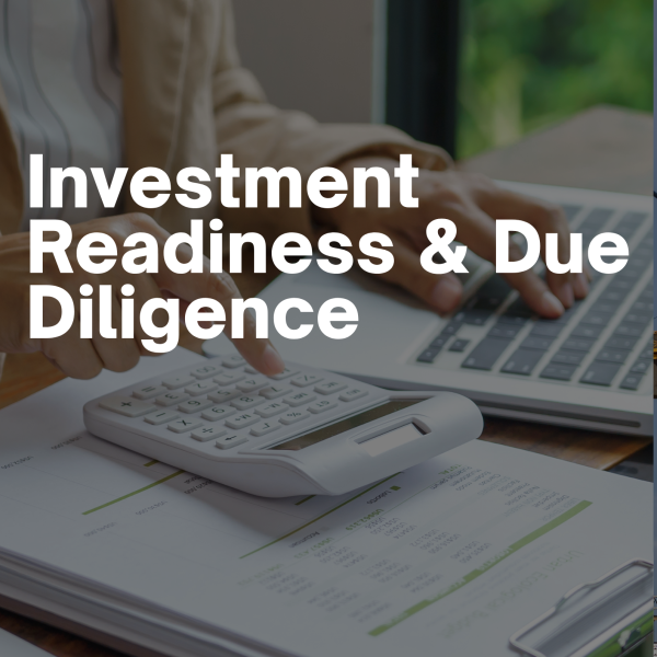 Investment Readiness & Due Diligence