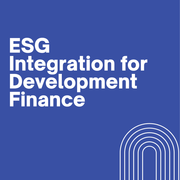ESG Integration for Development Finance